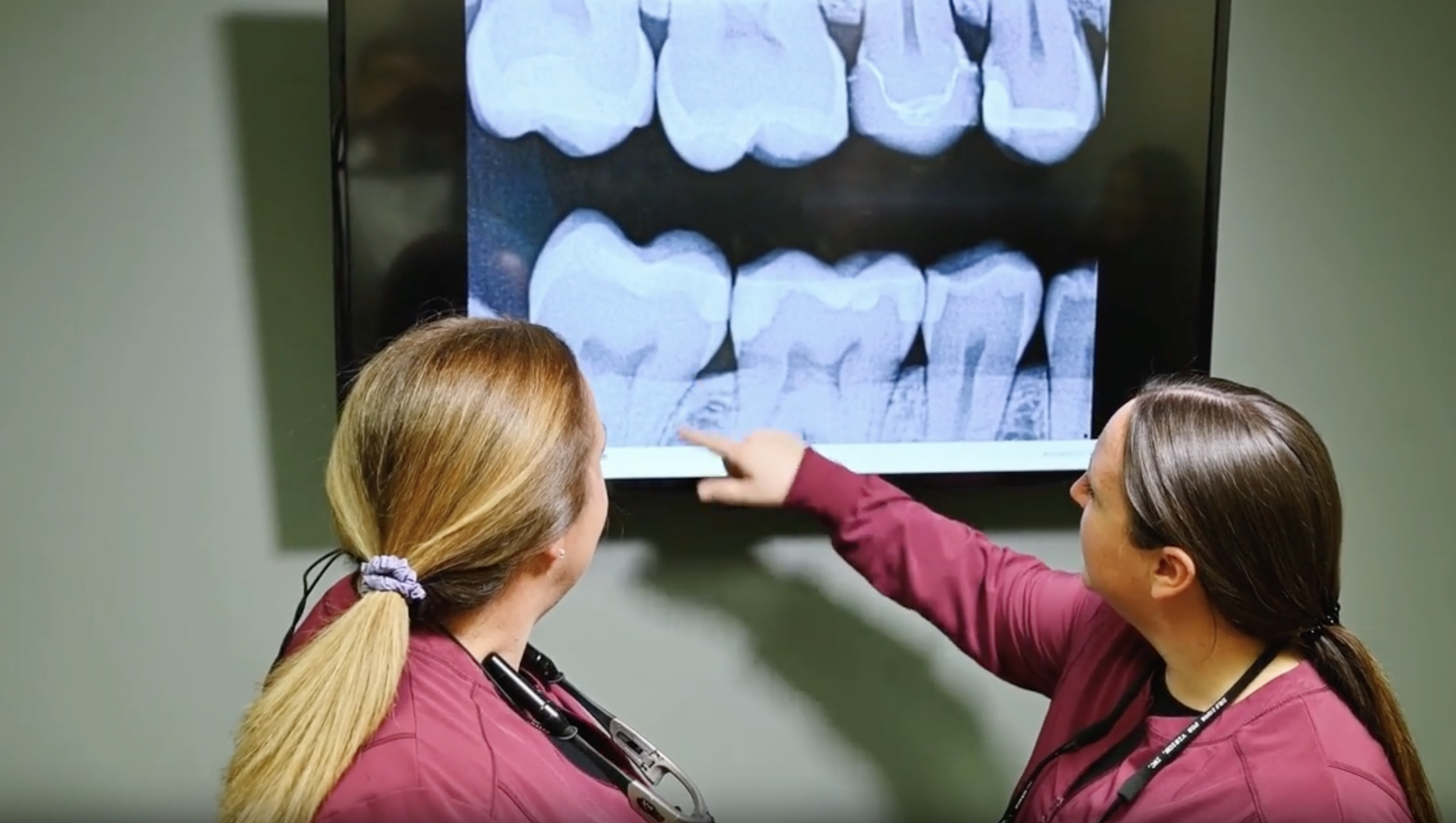 two dentists examine an x ray of teeth